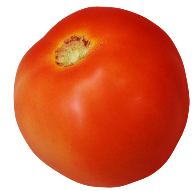 tomato image, tomato png, tomato png image, tomato transparent png image, tomato png full hd images